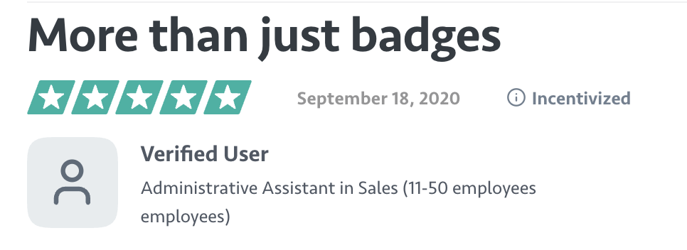 Verified customer review describing Sales Motivator as more than a badge system.